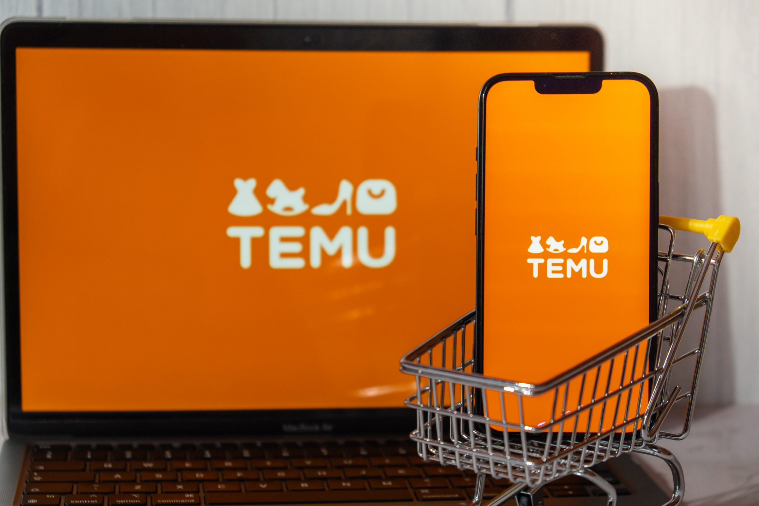 Temu Dropshipping 2024: A Comprehensive Guide